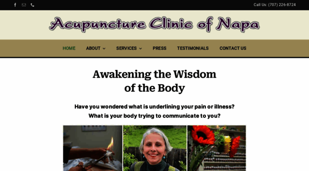 acupunctureclinicofnapa.com