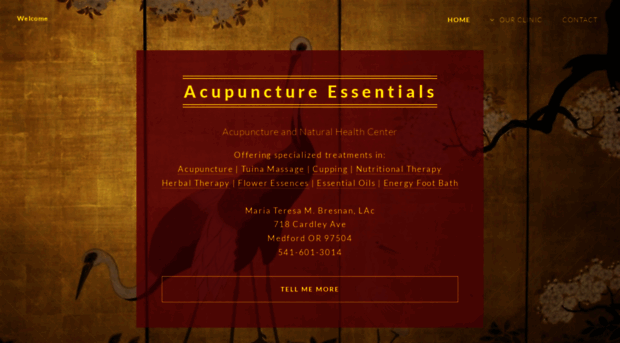 acupunctureessentials.com