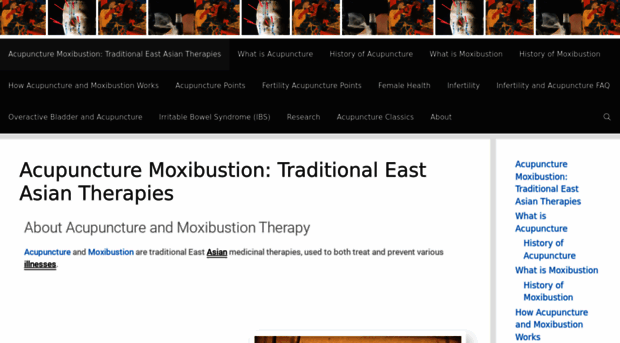 acupuncturemoxibustion.com