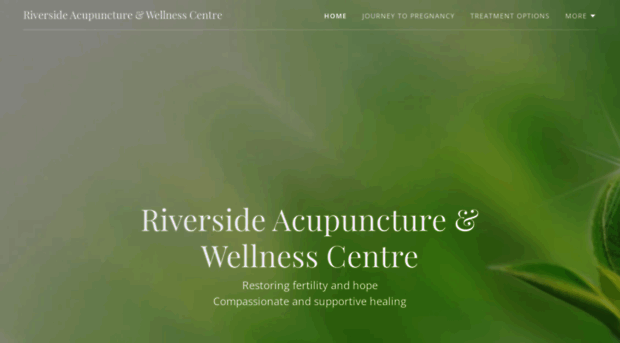 acupunctureottawa.com