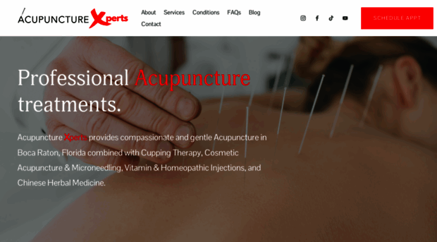 acupuncturexperts.com