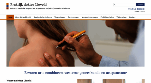 acupunctuur-lieveld.nl