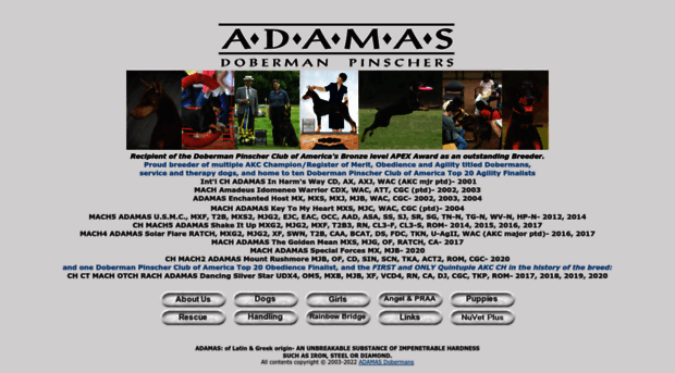 adamasdobermans.com