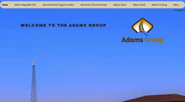 adamsgrp.com