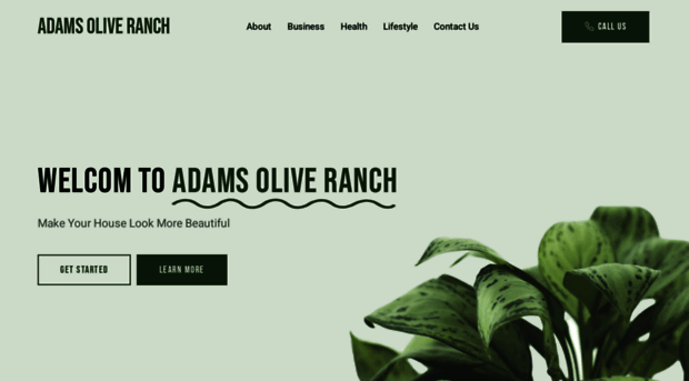 adamsoliveranch.com