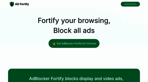 adblockerfortify.pro