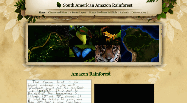 addiesrainforest.weebly.com