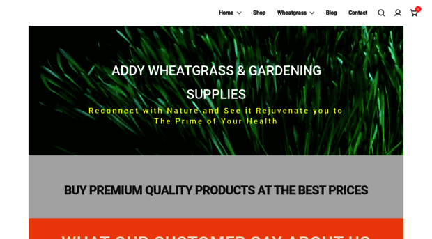 addywheatgrass.com