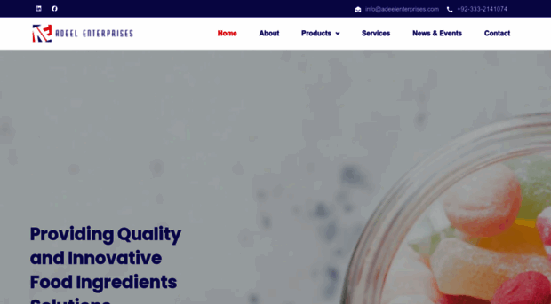 adeelenterprises.com