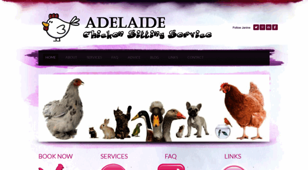 adelaidechickensittingservice.com