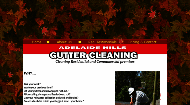 adelaidehillsguttercleaning.com.au
