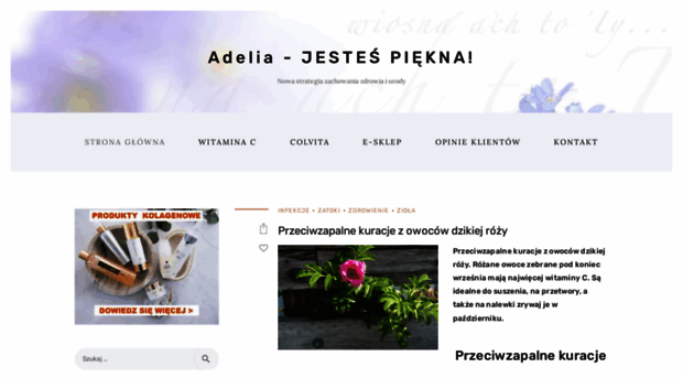 adelia.com.pl