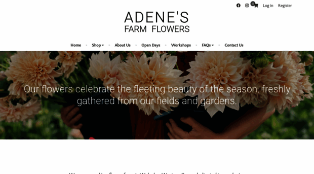 adeneflowers.co.za