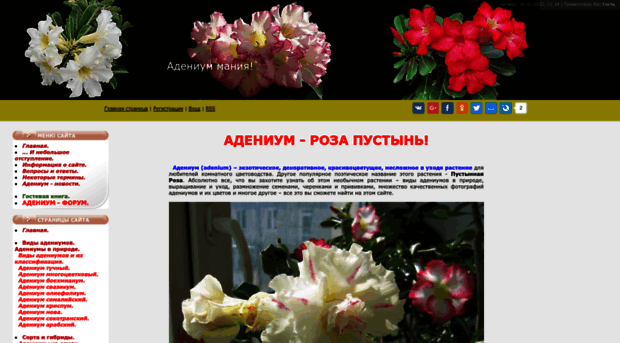 adenium.ucoz.ru