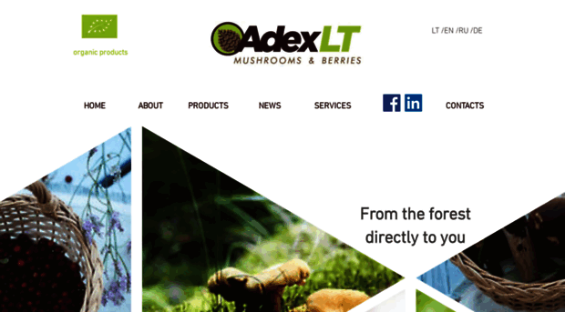 adexlt.com