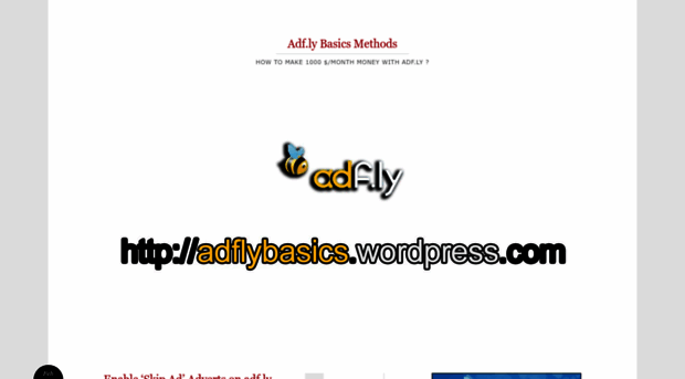 adflybasics.wordpress.com