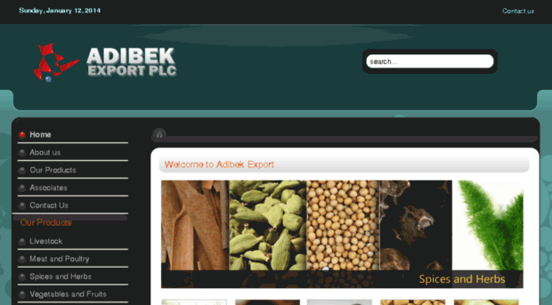 adibek.com