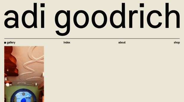 adigoodrich.com