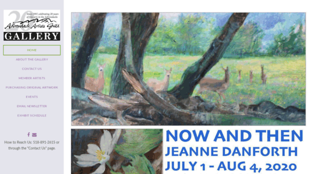 adirondackartistsguild.com