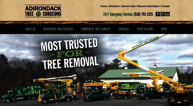 adirondacktreesurgeons.com