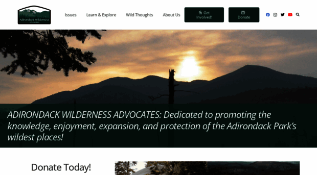 adirondackwilderness.org