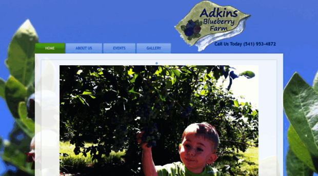 adkinsblueberryfarm.com