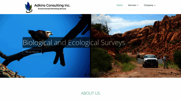 adkinsconsultinginc.com