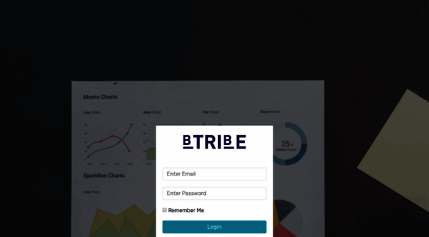 admin.btribe.com.au