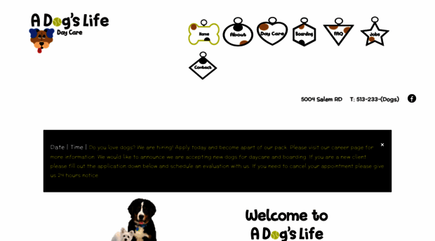 adogslifedaycare.com