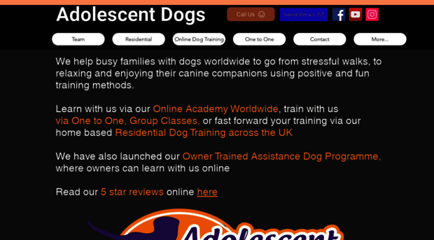 adolescentdogs.com