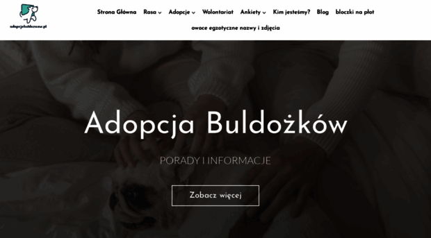 adopcjebuldozkow.pl