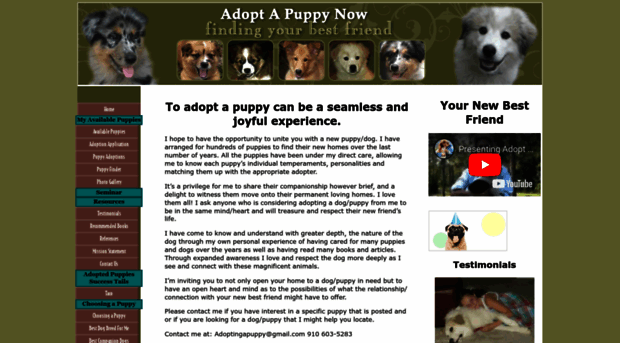 adopt-a-puppy-now.com