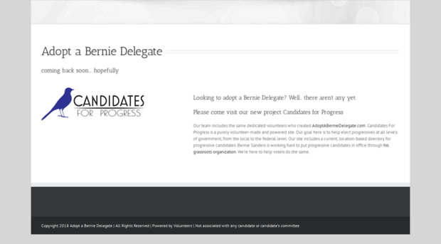 adoptaberniedelegate.com