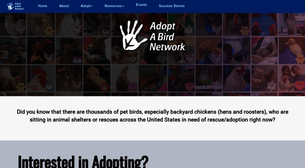 adoptabirdnetwork.com