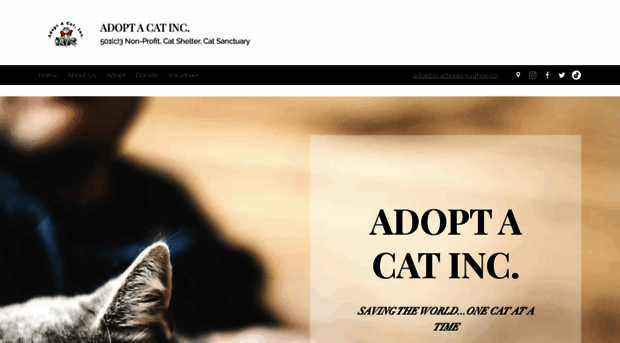 adoptacattexas.com