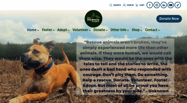 adoptadog.org.nz
