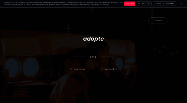 adoptauntio.com