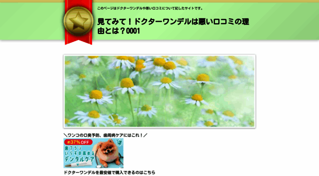 adoptauntio.site