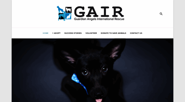 adoptgair.org