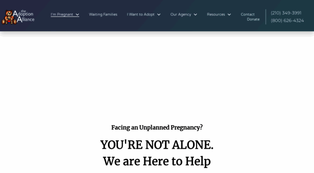 adoption-alliance.com