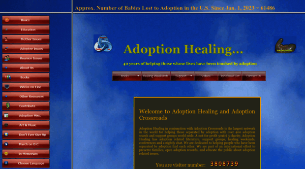 adoptionhealing.com