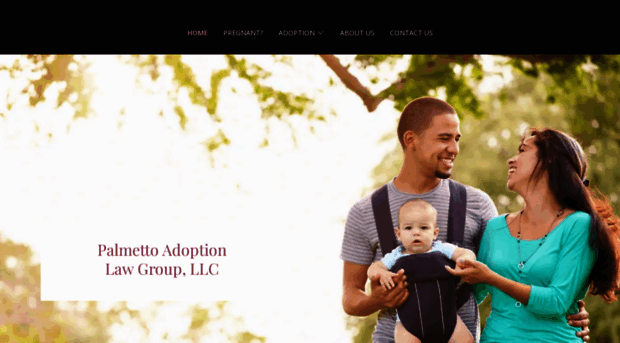 adoptionlawsc.com