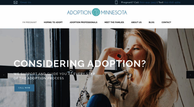 adoptionmn.com