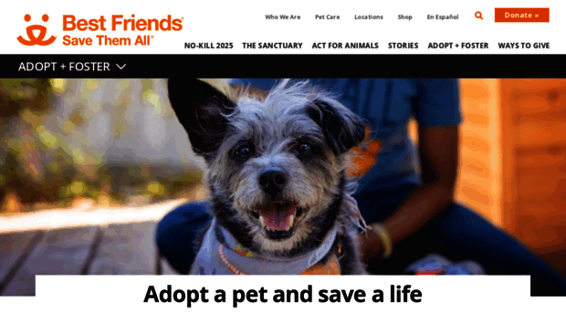 adoptions.bestfriends.org