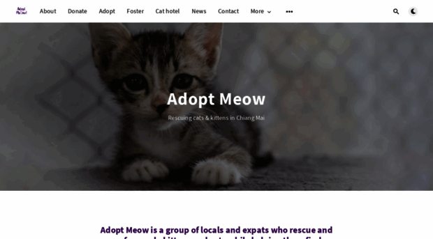 adoptmeowchiangmai.com