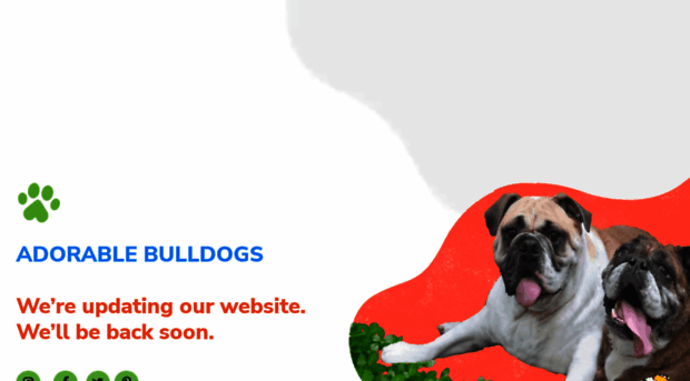 adorablebulldogs.com