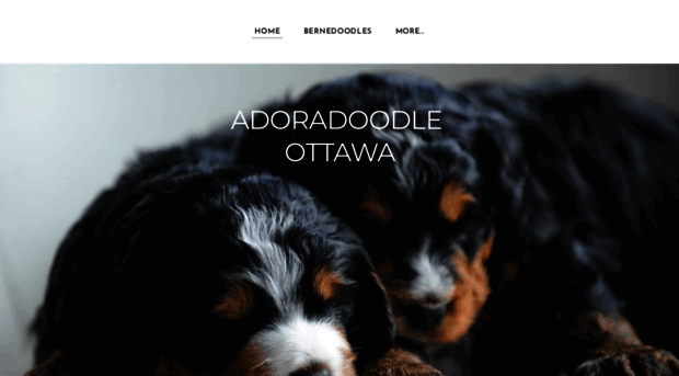 adoradoodle.com