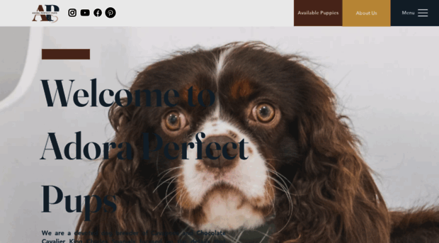 adoraperfectpups.com