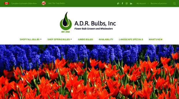 adrbulbs.com