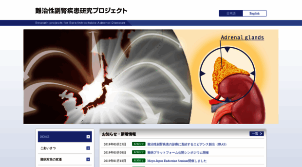 adrenal.jp